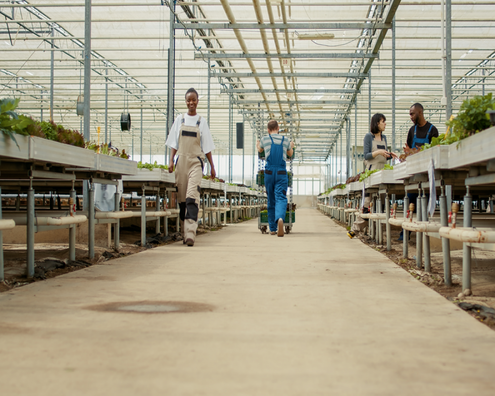 Veja Quais S O Os Principais Produtos Agr Colas Exportados Pelo Brasil